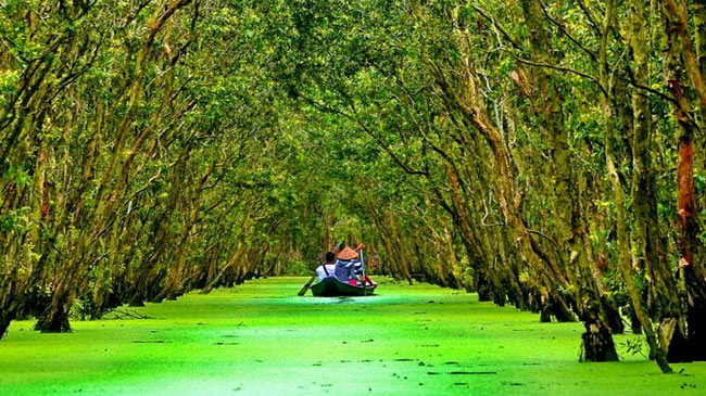 du lịch rừng nước ang giang