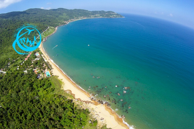 sơn trà
