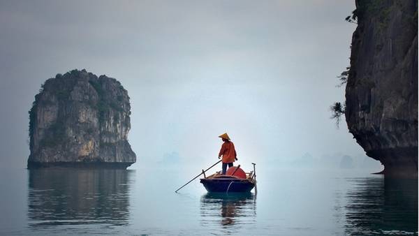 Ngâm mình giữa lòng vịnh