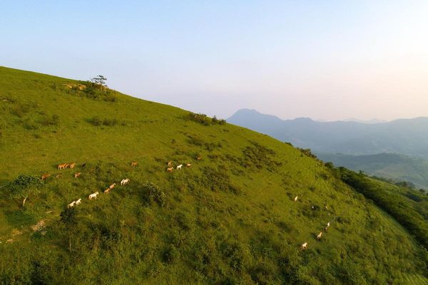 đồi Khau Sao (Khau Slao), thuộc thôn Suối Mạ A, xã Hữu Kiên