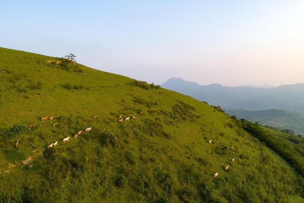 đồi Khau Sao (Khau Slao), thuộc thôn Suối Mạ A, xã Hữu Kiên