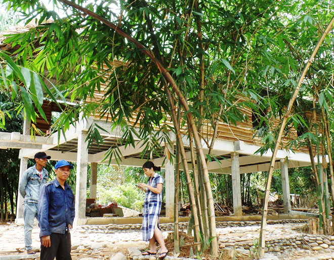 Khu lưu trú thơ mộng trong rừng tre của ông Như Khu lưu trú thơ mộng trong rừng tre của ông Như
