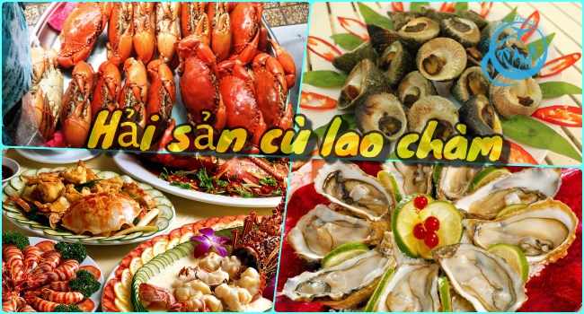 thưởng thức hải sản cù lao chàm