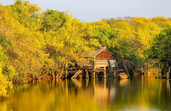 Rừng Rú Chá vào thu như trong cổ tích Rừng Rú Chá vào thu như trong cổ tích