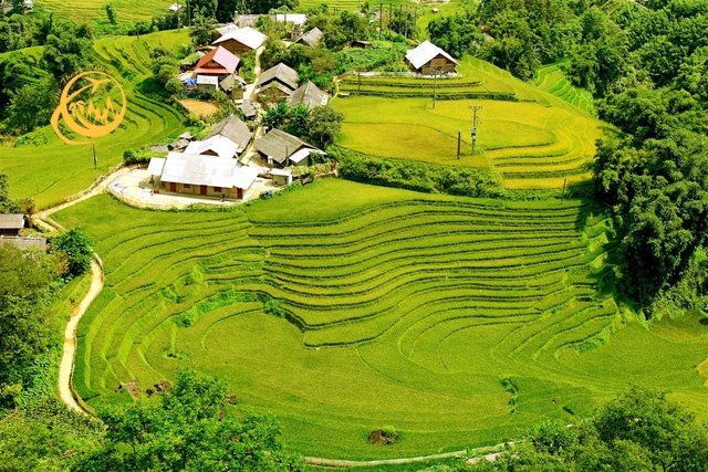 Lá Đỏ Sapa Homestay view bao trọn tàu hỏa leo núi Mường Hoa