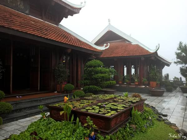 Không gian của Trú Vũ Trà Quán được bài trí theo phong cách đơn giản và tinh tế