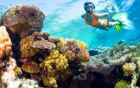 7 địa điểm cắm trại – check in sống ảo miễn phí tuyệt đẹp tại thiên đường Đà Nẵng.