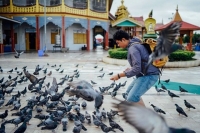 Anh chàng phượt Myanmar 6N5Đ chỉ 6 triệu đồng gây sốt