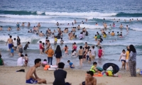 Biển Đà Nẵng, đảo Lý Sơn hút du khách