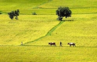 Khám phá Hậu Giang