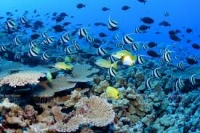 Tầm nhìn du lịch Quảng Ninh đến năm 2020
