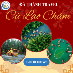 Tour Đà Nẵng Cù Lao Chàm 1 ngày chỉ với giá 550.000vnđ