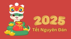 Tour ghép Cù Lao Chàm giá rẻ dịch vụ chất lượng