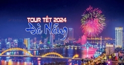 Rừng dừa 7 mẫu giá rẻ 2025